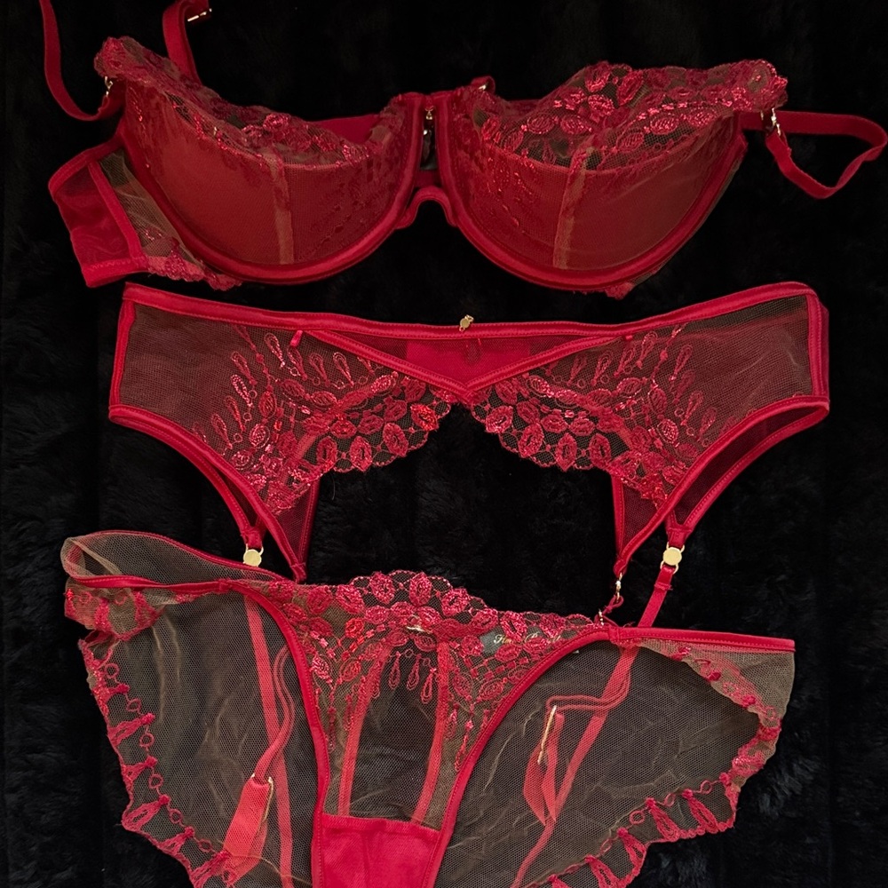Honey Birdette Ruby Red set with bra, garter and panty